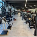 드래곤짐 이미지