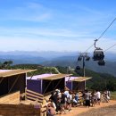 삼은농장 이미지