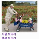 사랑보따리 이미지