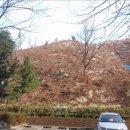 포항시북구70 이미지