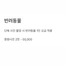 유어무드스튜디오