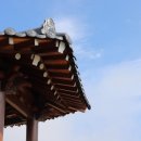 행정용 20 이미지