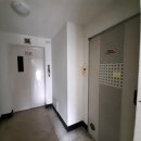 탄벌동-5 이미지