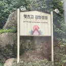 강화도 캠핑장 렛츠고강화캠핑장 C사이트 명당 후기! 애견동반 1박 2일 솔직 리얼 팁