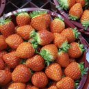 풍천상회 이미지