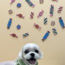 도루몽실 이미지