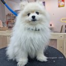 omokjomok(오목조목) 이미지