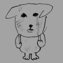 오지마미