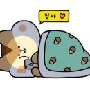 화경유도관 이미지