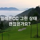 일레븐CC 그린 상태 괜찮을까? 충주 가성비 골프장 실시간 후기와 코스 정보 총정리