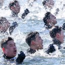 해군 특수전전단 SSU 혹한기 훈련…'겨울 바다 입수' 이미지