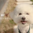 (주)바로닥터 이미지