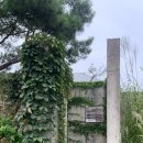 소망제일주유소 이미지