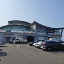 경기 화성 궁평항 Daum카페