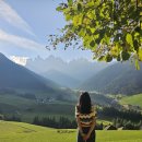 도식농장 이미지