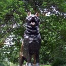 발토(BALTO) 이미지