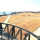 마포구 견인차량보관소 이미지