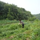 남진만농장 이미지