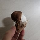 윤영농장 이미지