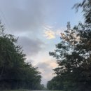 남해산장 이미지