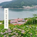 완도네시아 | 완도1주일살기(1) - 신청 및 숙소 예약