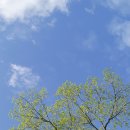 오늘도 맑개 이미지