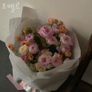 조엘르 이미지