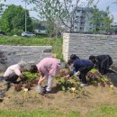 가성농장 이미지