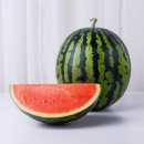 수박