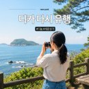 장수중고마트 | 디지털카메라, 2030은 왜 다시 디카를 찾을까 (feat. 디놀)