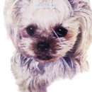 우리무지개 이미지