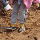 원아농장 이미지