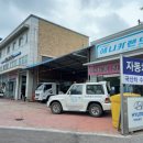 애니카랜드서전주점 이미지