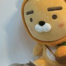 선셋 햄스터리 이미지