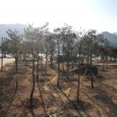 송림임업 - 제천시 | 송림임업