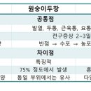 수두와 비슷한 원숭이두창, 증상과 대처 방법 이미지