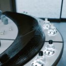 선샤인퍼피 이미지