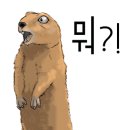 국립낙동강생물자원관_막판 찬~~스! 예약 취소로 &#39;8자리&#39; 남았어요^^ 생물자원·문화탐방 교육(10월 27일) 안내-차량지원 가능 이미지