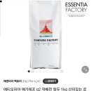 에센티아 팩토리 이미지