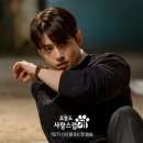 사랑스럽개 티스토리