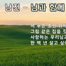 노래세상 Daum카페