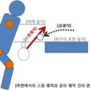 theONE님의 초보를 위한 탁구이야기(10) : 하회전 볼을 쉽게 백드라이브로 거는 법 이미지