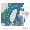 군집 속의 신호: 대만 인근 해상 회색지대 작전을 뒷받침하는 중국의 데이터 이미지