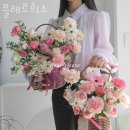 플레르희소