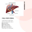 만덕24시동물병원 이미지