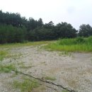 포항시북구66 이미지