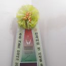 BIG DREAME 이미지