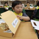 태봉초교병설유치원 이미지