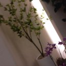 미유외과의원 이미지