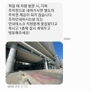 고급지고 감각적인 청담역꽃집 &#39;아트지니&#39; 플라워 센터피스 후기